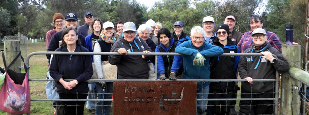 koala tree planting team at gate