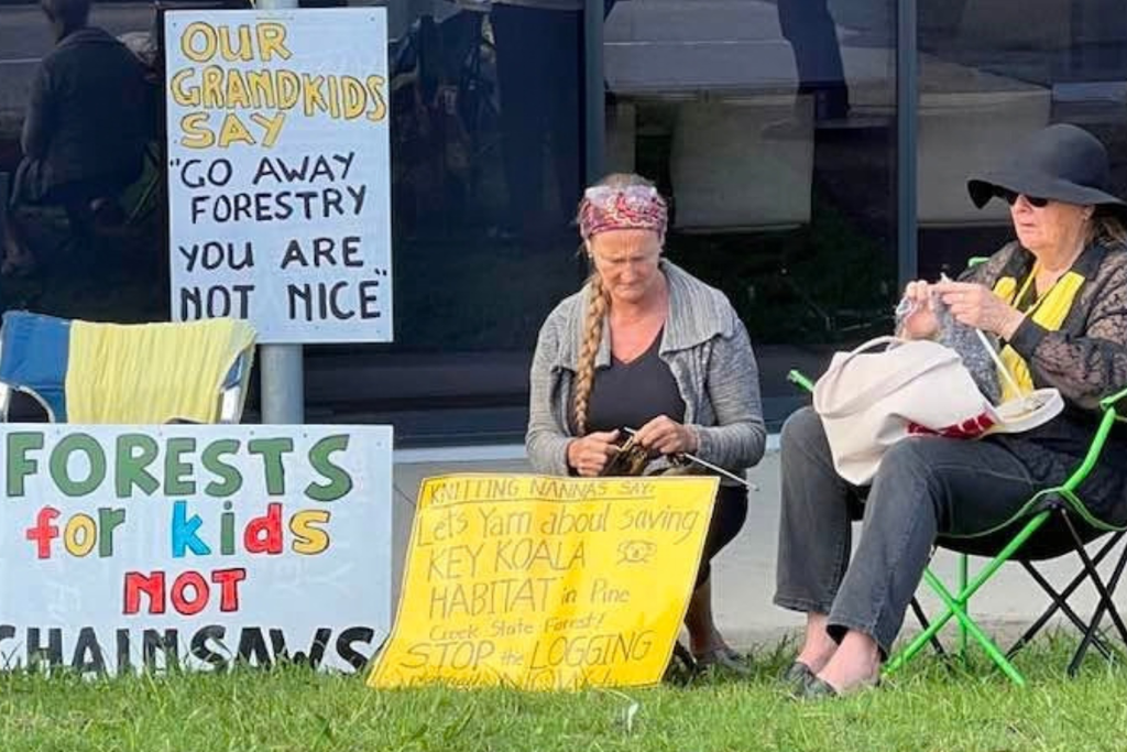 Two women from the Knitting Nannas Coffs Harbour Loop sit outdoors on folding chairs while knitting. Around them are several handmade protest signs that read, "OUR GRANDKIDS SAY GO AWAY FORESTRY YOU ARE NOT NICE", "FORESTS for kids NOT CHAINSAWS", and "Knitting Nannas say: Let's Yarn about saving KEY KOALA HABITAT in Pine Creek State Forest! STOP the LOGGING."