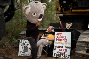 Chris Degan taking a stand to protect vital koala habitat.