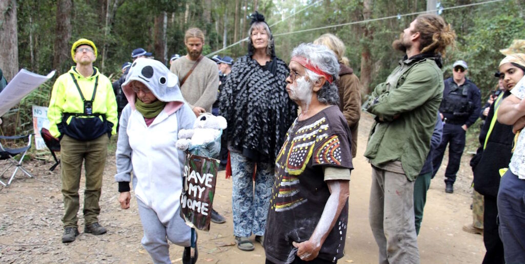 Senior Lore Woman Aunty Alison Buchanan Great Koala National Park