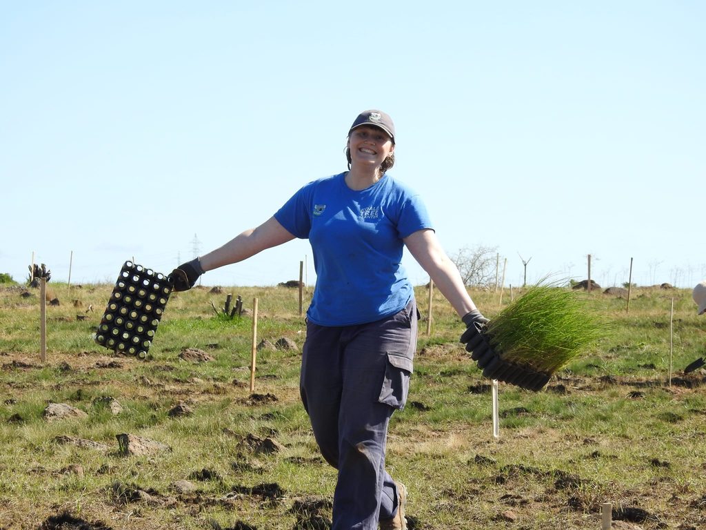 Full-length photo of a happy Koala Clancy team member, Eliza, walking through a tree-planting field under a clear blue sky. She wears a blue "Koala Tree Planter" shirt, grey cargo pants, gloves, and a cap, cheerfully holding up an empty propagation tray and a cluster of green grass seedlings.