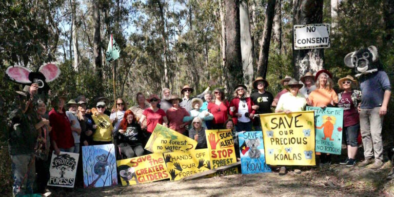 peaceful protesters after 421 days NSW great koala national park