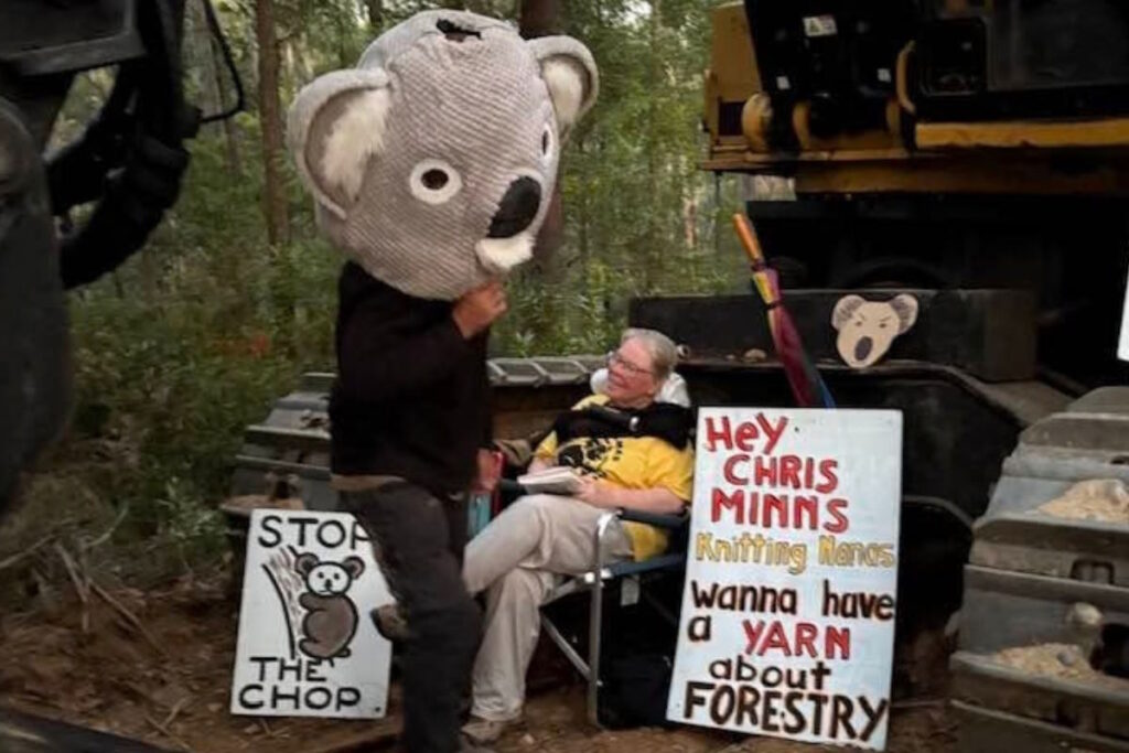 knitting nanna and koala suit at bulldozer in nsw forest protest