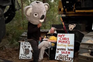 knitting nanna and koala suit at bulldozer in nsw forest protest